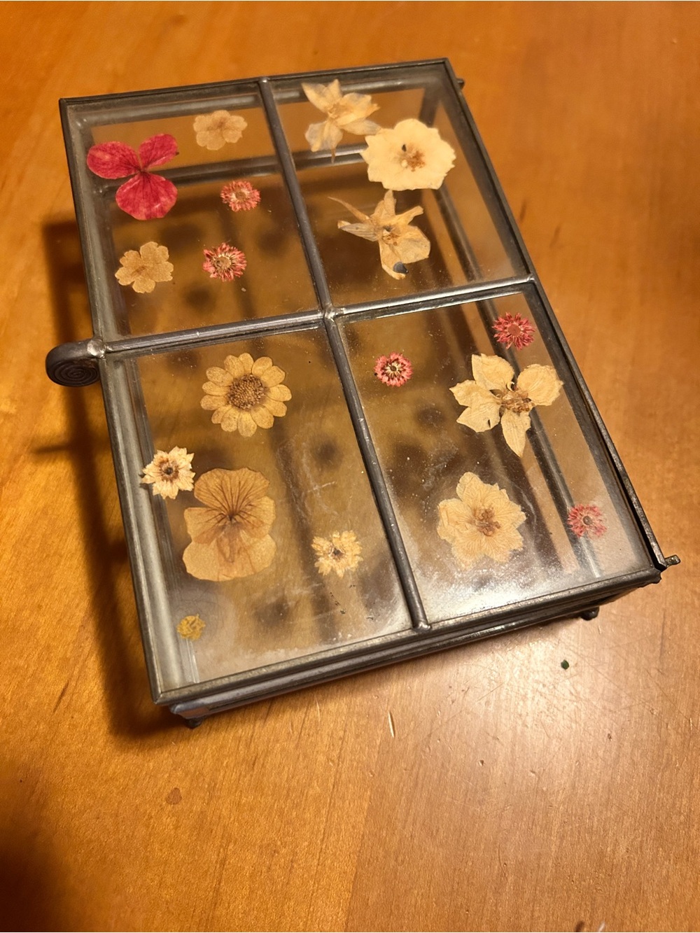 Vintage Glass Display or jewelry Box with Pressed Flowers - metal frame and legs